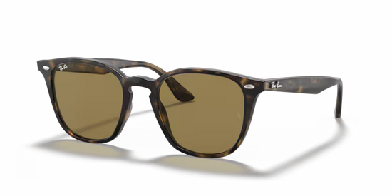 Occhiale da sole rayban rb4258f 710/73