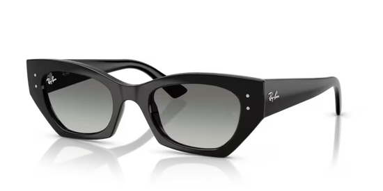 Occhiale da sole rayban rb4430 667711