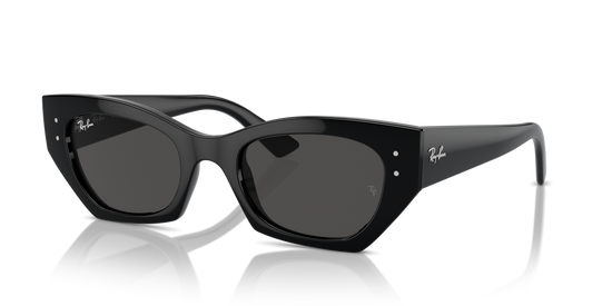 Occhiale da sole rayban rb4430 667787