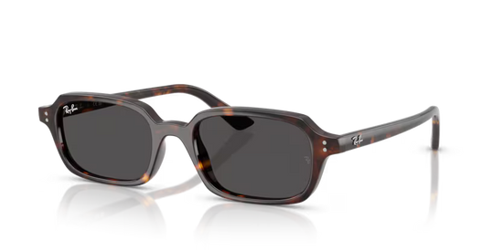 Occhiale da sole rayban rb4455 135987